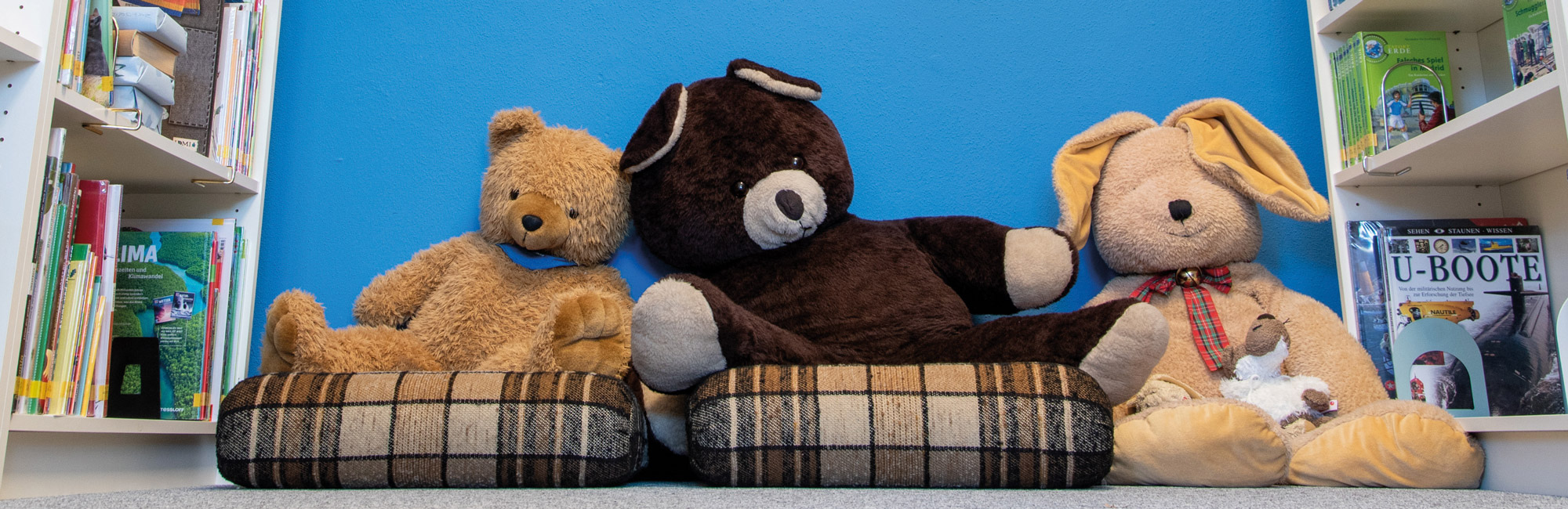 Du betrachtest gerade Jugendbuchvorstellung